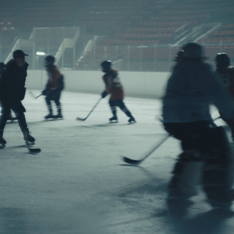 canadian tire win GIF