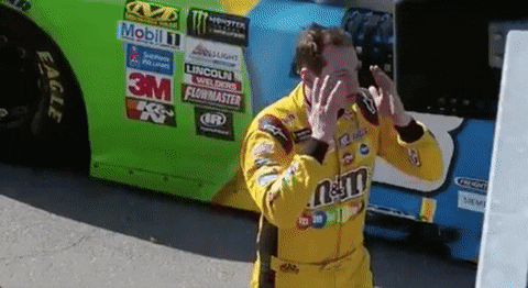 Kyle Busch GIF by NASCAR