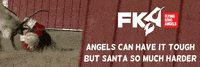 FlyingKiwiAngels another fka friday fka news GIF