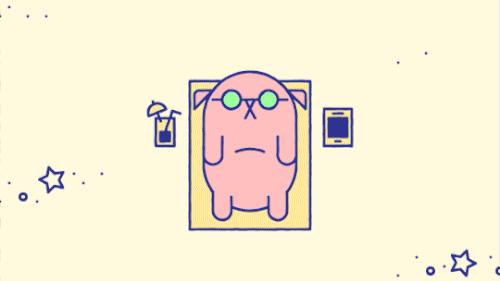 catpig GIF by Mashable