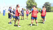 ball anger GIF by FCG Rugby