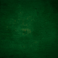 Ich Bin Ein Star Robot GIF by RTLde