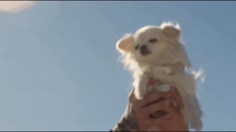 Feels Great Music Video GIF by Cheat Codes