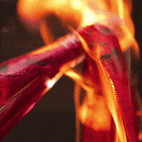 warnermusicitaly fire flame molotov fuoco GIF