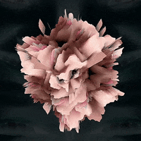 Art Morph GIF by Aleksey Efremov