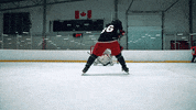 goal snipe GIF by Hockey Training