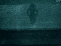 x files GIF by The X-Files