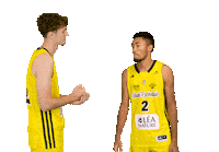 Basketball Basket Sticker by Stade Rochelais