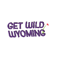 Wde Sticker by Wyoming Department of Education