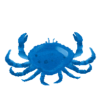 Caribbean Bahamas Sticker by visitthebahamas