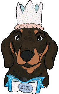 Its My Birthday Sticker by Pablosaurus
