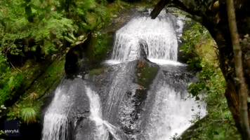 Adventurer Shows Off New Zealand's 'Natural Water Slides'