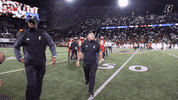 University Of Cincinnati Uc Football GIF by Cincinnati Bearcats