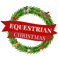 Horse Hdf Sticker by Heels Down Fitness