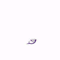College Basketball Ncaa GIF by SportsManias
