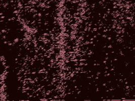 Vhs Waves GIF