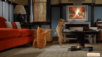 garfield movie dance GIF by Nick At Nite