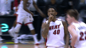 Miami Heat Basketball GIF by NBA