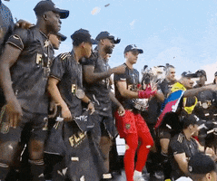 Winning Mls Cup GIF by Major League Soccer