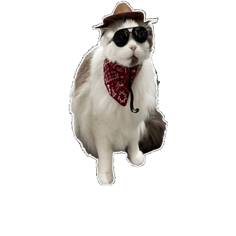 Ragdoll Cat Sticker by Rega Marketing