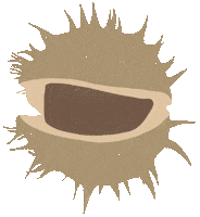 Illustration Fall Sticker