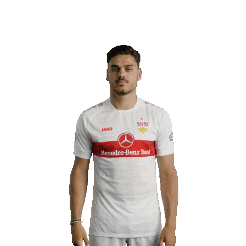 Weiss Nicht Sorry Not Sorry Sticker by VfB Stuttgart