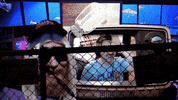 Head And Shoulders Security GIF by Four Rest Films