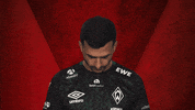 Werder Predator GIF by Bundesliga