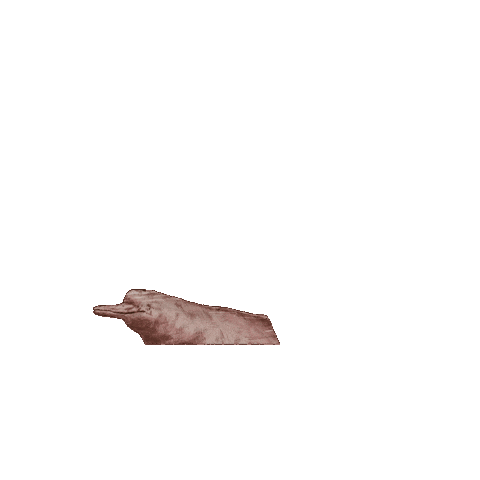 Water Swimming Sticker by Fundación Omacha