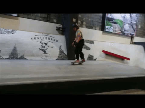 LaraKaa giphygifmaker skateboard boneless GIF