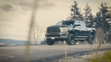 GIF by Northwest Motorsport