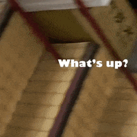 xianglinwu whats up GIF