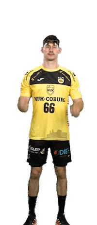 Sport Handball Sticker by HSC 2000 Coburg