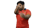Fer Leones Sticker by FERugby