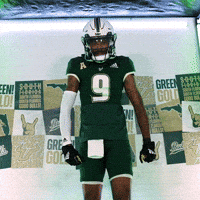 Ncaa Football GIF by USF Athletics