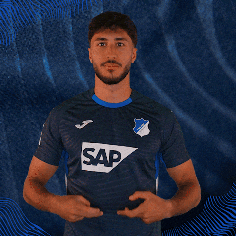 Sport Bundesliga GIF by TSG Hoffenheim