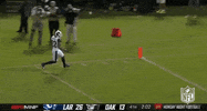 2018 Nfl Football GIF by NFL