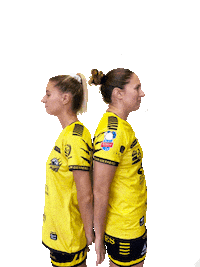 HBPLANDECUQUES handball pdc hbpc guerrieres Sticker