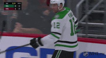 happy ice hockey GIF by NHL