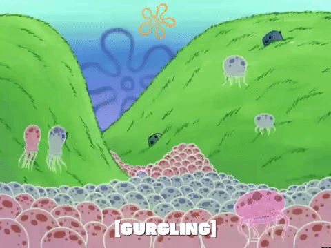 season 4 GIF by SpongeBob SquarePants
