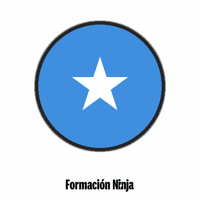 Flag Bandera GIF by Formación Ninja