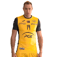 Atanasijevic Sticker by PGE Skra Bełchatów