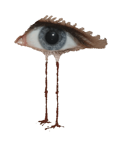 Eyes Lashes Sticker by yux