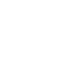 Cat Illustration Sticker
