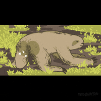 Animation Domination Lol GIF by gifnews