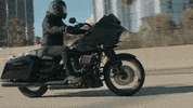 Brand Adventure GIF by Harley-Davidson