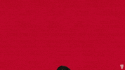 Thumbsup GIF by NC State Athletics