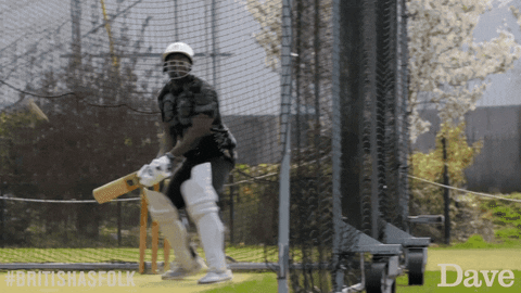 Cricket betting for dummies