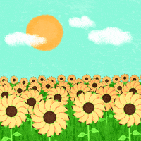 GIF by Taco Bell Brasil