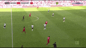 ribery GIF by nss sports